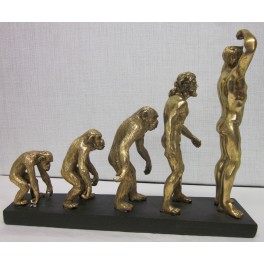 Figura evolucion